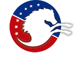 logofinalfinalvenezuelausa