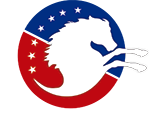 venezuelausalogofinal1
