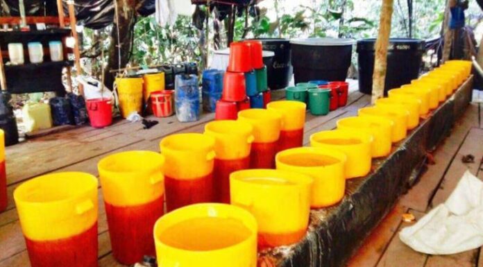 Javier Ignacio Mayorca: Se han conformado tres ejes para la producción, procesamiento y almacenamiento de cocaína desde el Catatumbo como área más importante