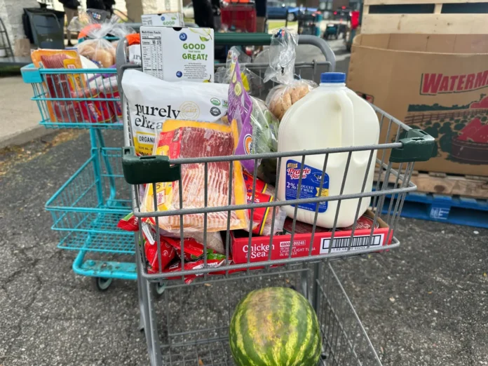 Ayuda alimentaria
