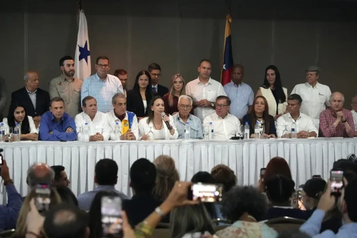 MCM Elecciones candidatura
