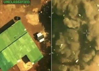 Dámaso Jiménez: EEUU trabaja en el rediseño geopolítico de la Amazonía